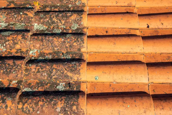 Ceiling mold removal before and after, performed by Ceiling Vac Specialist