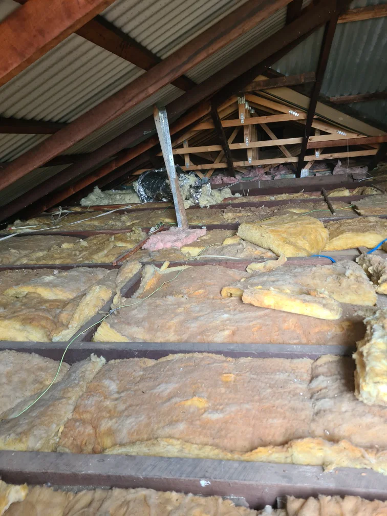 Insulation Removal