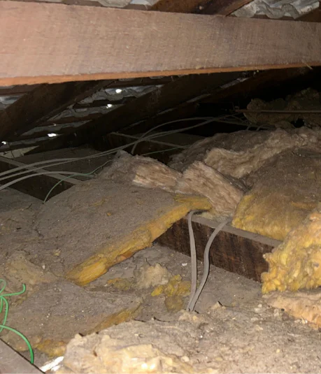 Insulation Removal