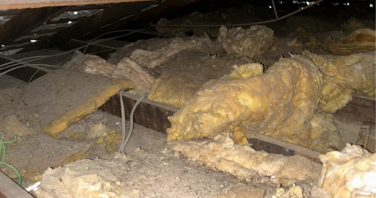 Insulation and debris in attic space