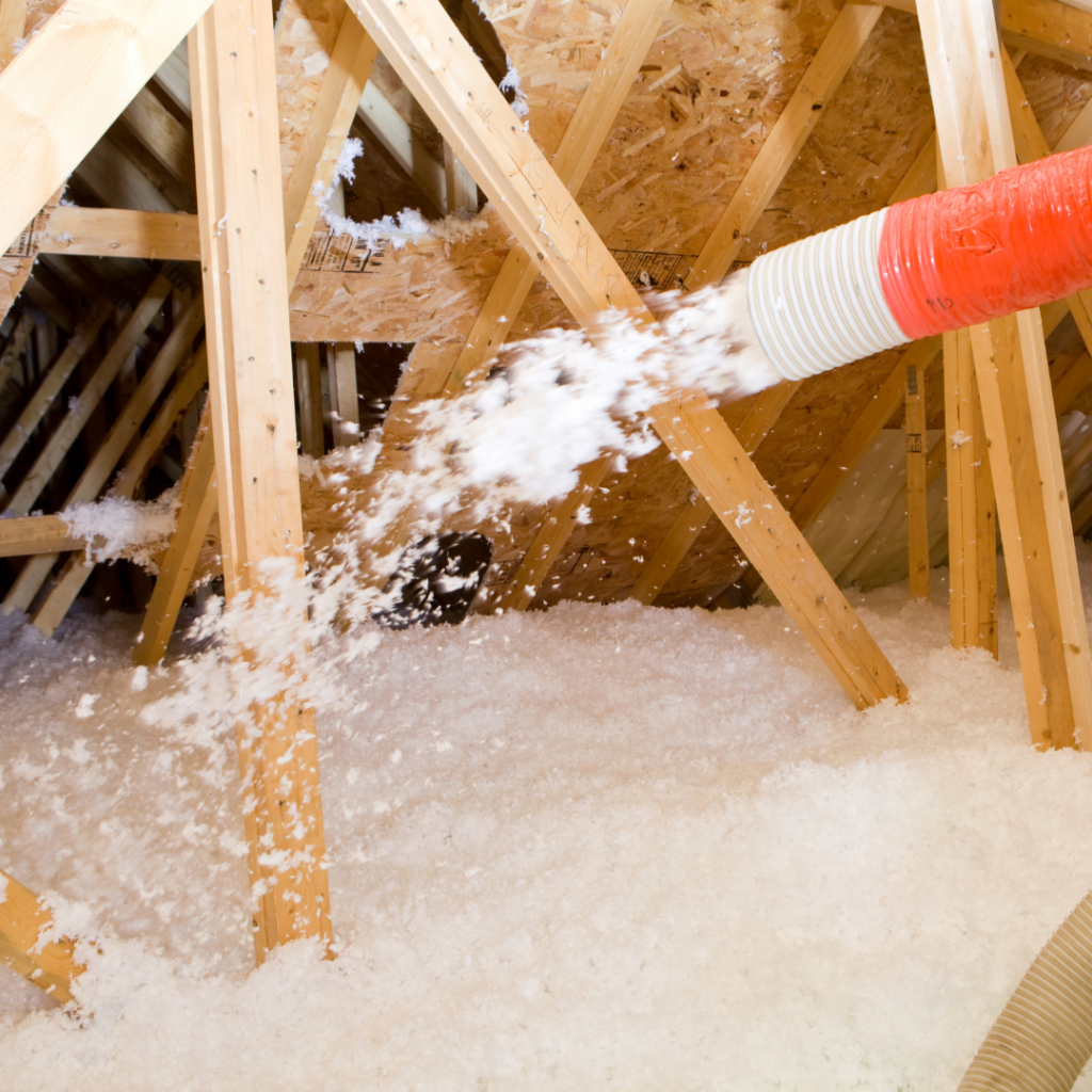 mould in ceiling insulation brisbane roof cavity damage